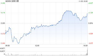 高端与神秘感淡去 曾风靡一时的加拿大鹅要被卖了？