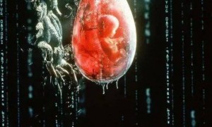 最新，日本研究生孩子，不需要男人了？