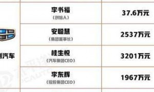 从一面之恩到千亿帝国CEO，安聪慧如何成为李书福左膀右臂？