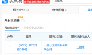 万达王健林被限高，知情人士：下属项目公司经济纠纷导致