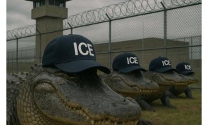 首批被拘留者抵达美“鳄鱼恶魔岛” 越狱就要喂鳄鱼？