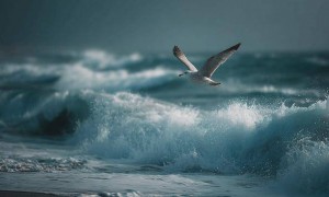 1.5℃升温红线几近失守，悬崖边的地球能否“再退一步”？多国强烈反对