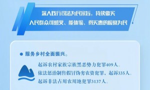 新进展!数读2025年前9月检察工作