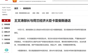 王文涛与荷方通话,就安世半导体等问题交换意见