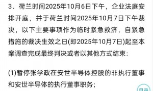 突发!荷兰政府对闻泰科技安世半导体下手:张学政董事职务被停,一外籍董事将有决定性投票权,中资股权仅剩1股!去年其营收147亿