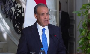 埃及外长呼吁开始加沙停火第二阶段谈判