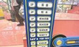 每10元收入约有5元来自名创优品集团 潮玩品牌TOP TOY闯关港交所,递表前“补课”