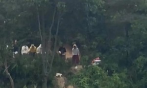 有人开货车在水库放生大量猫,多只猫跳进水里?广东清远多方回应