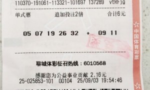 彩民6元机选擒大乐透32万:真是“赶时”的好运!