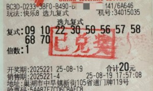 幸运彩民20元机选票擒福彩31.8万大奖