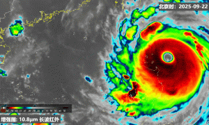 “桦加沙”为何能成为年度“风王”?