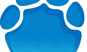 微信删好友能留聊天记录了!微信官宣三大新功能